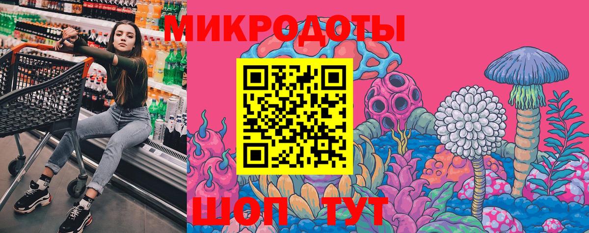 Галлюциногенные грибы Psilocybe  Североморск 