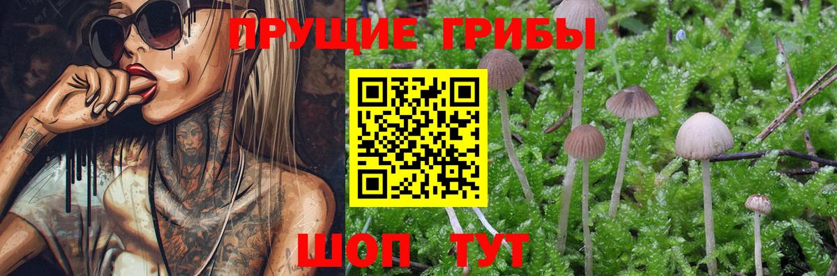 Псилоцибиновые грибы ЛСД  Галлюциногенные грибы Psilocybe  Североморск  Вход с VPN 